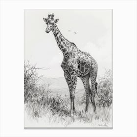 Pencil Portrait Of A Giraffe Standing 3 Canvas Print