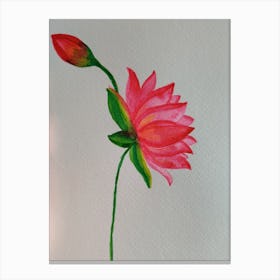 Lotus Flower Canvas Print