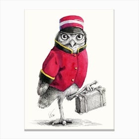 Porter Owl Canvas Print