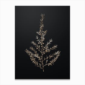 Gold Botanical Sea Asparagus on Wrought Iron Black n.3164 Canvas Print
