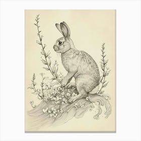 Thrianta Rabbit Drawing 2 Canvas Print