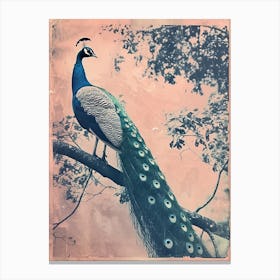 Peach & Blue Peacock In A Tree Cyanotype Inspired Canvas Print