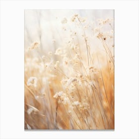 Boho Dried Flowers Gypsophila 7 Canvas Print