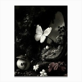 Butterfly In A Mirror Canvas Print