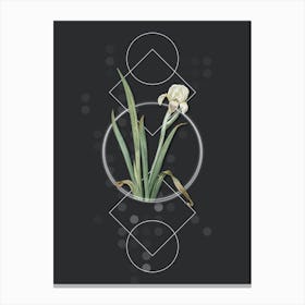 Vintage Crimean Iris Botanical with Geometric Line Motif and Dot Pattern n.0146 Canvas Print