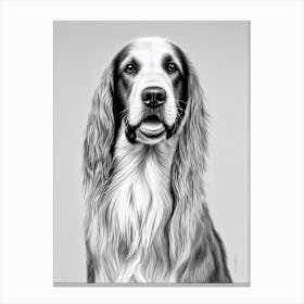 Irish Setter B&W Pencil dog Canvas Print