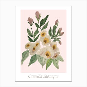 Camellias Canvas Print