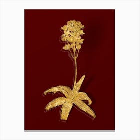 Vintage Sun Star Botanical in Gold on Red n.0080 Canvas Print