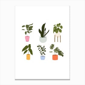 House Plants Canvas Print