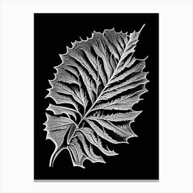Elm Leaf Linocut 2 Canvas Print