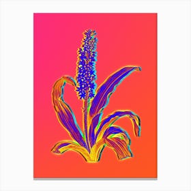 Neon Eucomis Punctata Botanical in Hot Pink and Electric Blue n.0175 Canvas Print