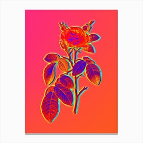 Neon Red Gallic Rose Botanical in Hot Pink and Electric Blue n.0525 Canvas Print