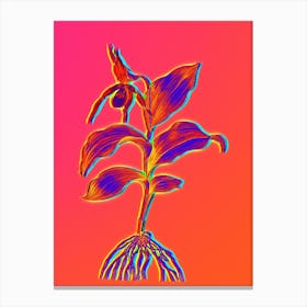 Neon Yellow Lady's Slipper Orchid Botanical in Hot Pink and Electric Blue n.0605 Canvas Print