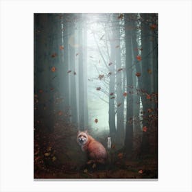 Yvonig Red Fox And White Hermine In Wood Canvas Print