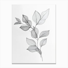 Leaves Canvas Print