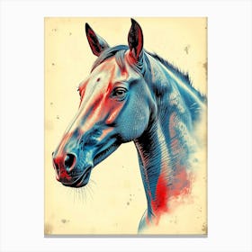 Horse Head Color Portrait Canvas Print