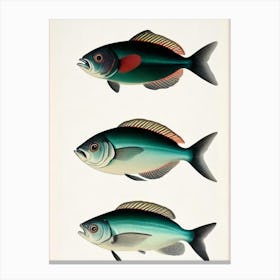 Barreleye Fish Vintage Poster Canvas Print