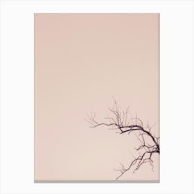 Bare Tree Against A Pink Sky Canvas Print