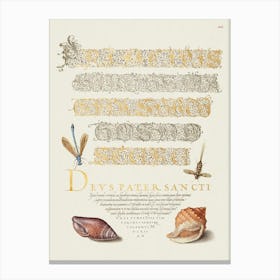 Damselfly, Insect, And Marine Mollusks From Mira Calligraphiae Monumenta, Joris Hoefnagel Canvas Print