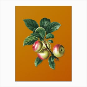 Vintage Apple Botanical on Sunset Orange Canvas Print