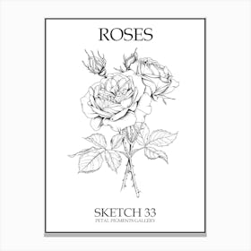 Roses Sketch 33 Poster Canvas Print