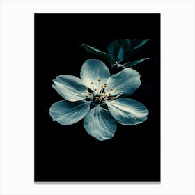 Blue Flower 5 Canvas Print