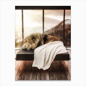 Lion Taking A Nap Chill Canvas Print