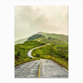 Photograph - Winding Road In The Mountains Canvas Print