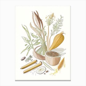 Arrowroot Spices And Herbs Pencil Illustration 1 Canvas Print