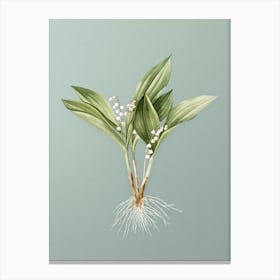 Vintage Lily of the Valley Botanical Art on Mint Green n.0788 Canvas Print