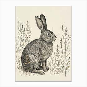 Harlequin Blockprint Rabbit Illustration 5 Canvas Print