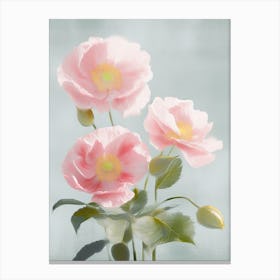 Camellia Flowers Acrylic Pastel Colours 2 Canvas Print