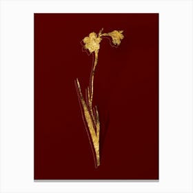 Vintage Sword Lily Botanical in Gold on Red n.0383 Canvas Print