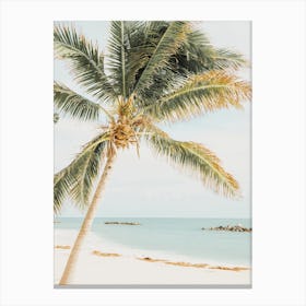 Palm Tree On Beach Canvas Print