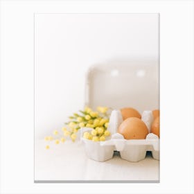 Carton Of Eggs 1 Canvas Print