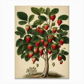 Strawberry Tree 1 Canvas Print