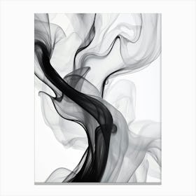 Fluid Dynamics Abstract Black And White 5 Canvas Print