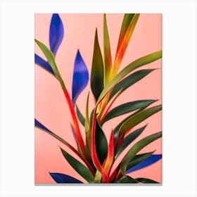 Sansevieria Colourful Illustration Plant Canvas Print
