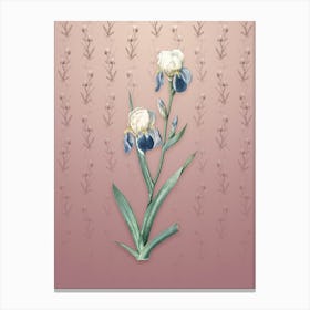 Vintage Elder Scented Iris Botanical on Dusty Pink Pattern n.1565 Canvas Print