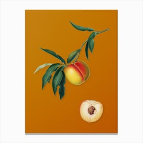 Vintage Peach Botanical on Sunset Orange n.0149 Canvas Print