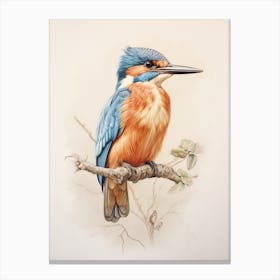 Vintage Bird Drawing Kingfisher 1 Canvas Print