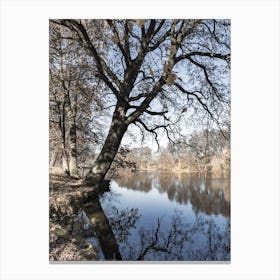 Tree Reflected In A Lake Canvas Print