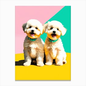 'Bichon Frise Pups' , This Contemporary art brings POP Art and Flat Vector Art Together, Colorful, Home Decor, Kids Room Decor,  Animal Art, Puppy Bank - 24th Canvas Print