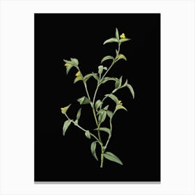 Vintage Commelina Africana Botanical Illustration on Solid Black n.0045 Canvas Print