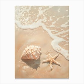 Seashells On The Beach Canvas Print