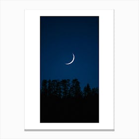 Magic night Canvas Print