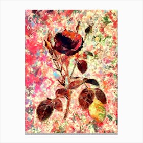 Impressionist Double Moss Rose Botanical Painting in Blush Pink and Gold Canvas Print