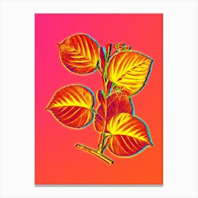 Neon Linden Tree Branch Botanical in Hot Pink and Electric Blue n.0206 Canvas Print
