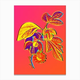 Neon Paper Mulberry Flower Botanical in Hot Pink and Electric Blue n.0226 Canvas Print
