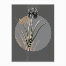 Vintage Botanical Mourning Iris on Circle Gray on Gray n.0260 Canvas Print